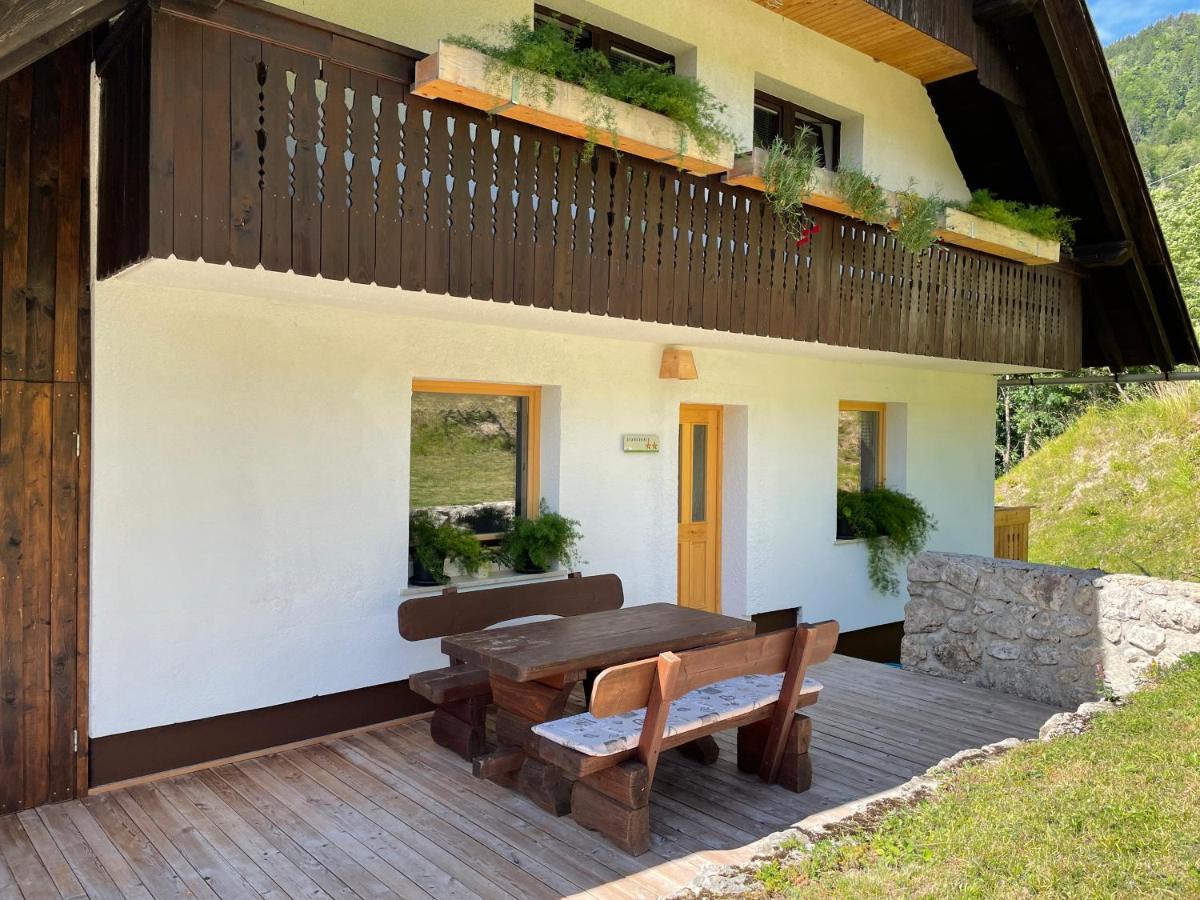 Apartma Korosec Srednja Vas v Bohinju Esterno foto