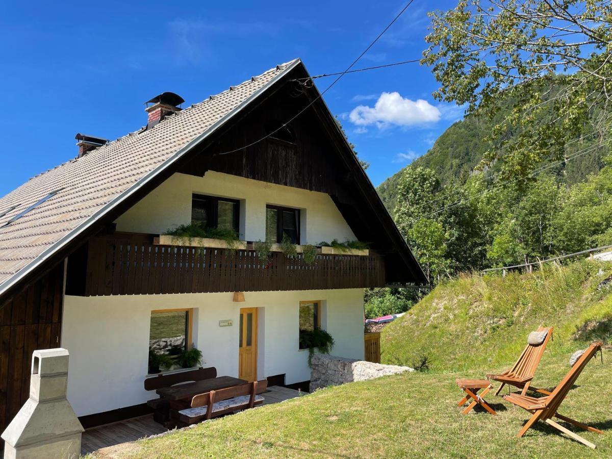 Apartma Korosec Srednja Vas v Bohinju Esterno foto